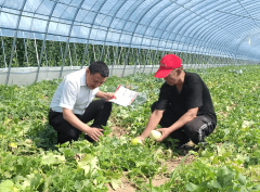  山西农商银行深耕